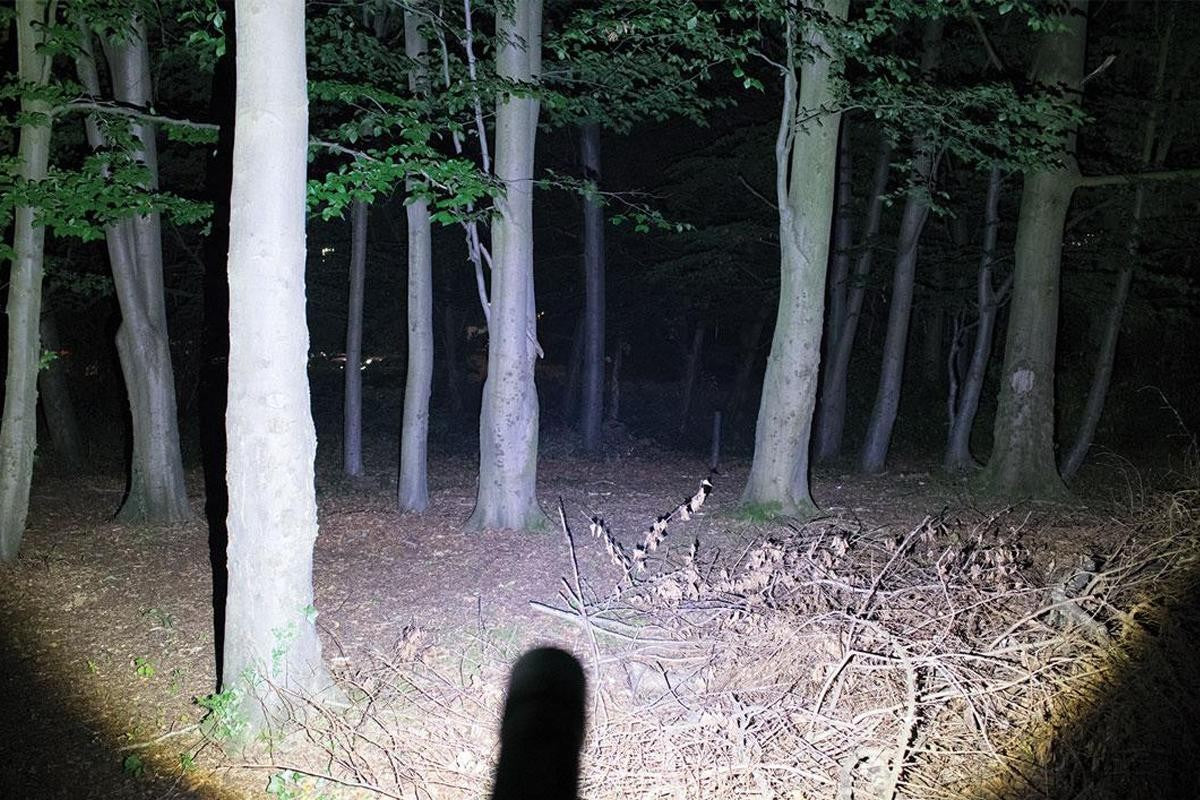 Zoom 500 | 500 Lumens | AAA Powered Spot-Flood Torch